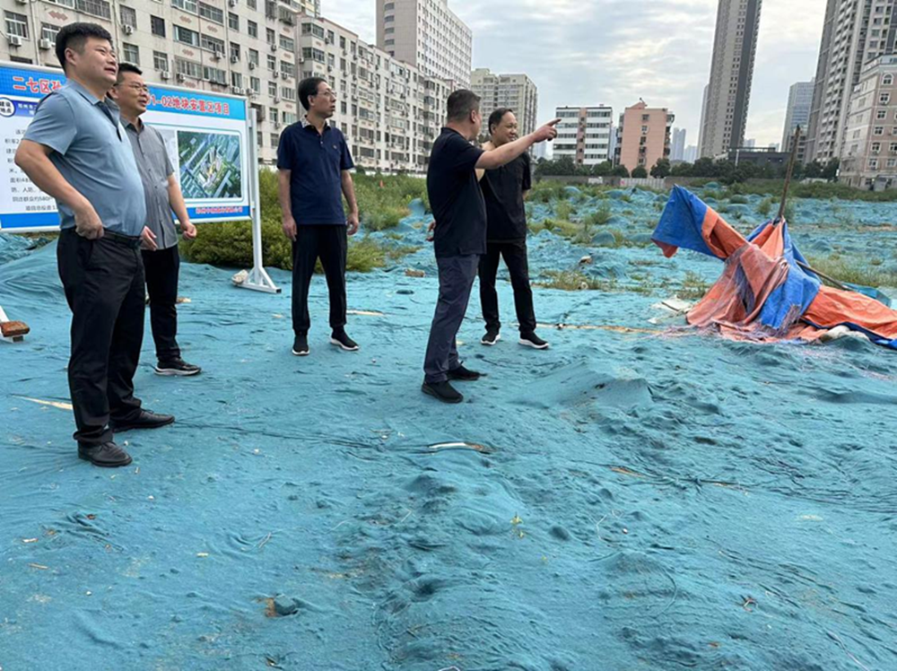 集團(tuán)公司黨委委員、副總經(jīng)理張巖到侯寨新鎮(zhèn)區(qū)安置區(qū)調(diào)研項(xiàng)目建設(shè)工作